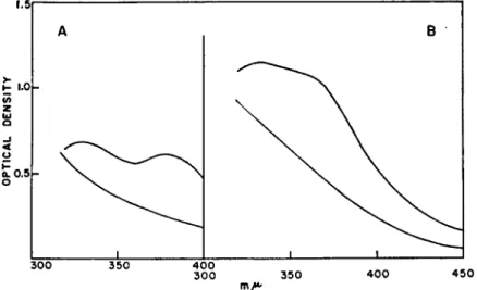 FIG. 1. Displacement of Fe from hemerythrin by equimolar Ag ion. A, spectra of  hemerythrin in aqueous solution containing 8 Ai urea and 0.15 M NaCl, top curve  without AgNOa, bottom with AgNOa; B, spectra of hemerythrin in tris buffer, pH  7.4, containing