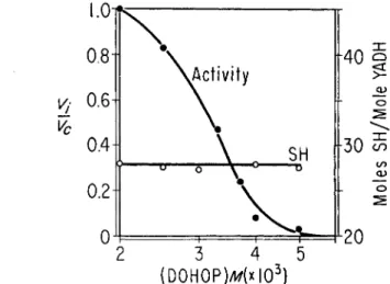 FIG.  2 . Effect of 4,7-dihydiOxy-l,10-phenanthroline on activity and titratable sulf- sulf-hydryl groups of YADH