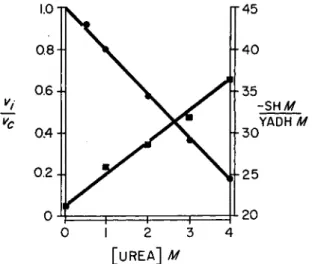 FIG. 4. Effect of urea on activity and titratable sulfhydryl groups of  Y A D H . Par- Par-tial activity (Vi/V c ) and sulfhydryl content (titrated with Ag +  at 4°) are plotted  versus urea concentration