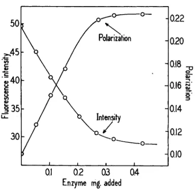 FIG.  4 . Titration of 6 m^moles of  D P N H with  G A D H , showing the changes in  the polarization of the  D P N H fluorescence activated at  3 4 0 τημ, and the changes in  intensity of the depolarized component of the emission