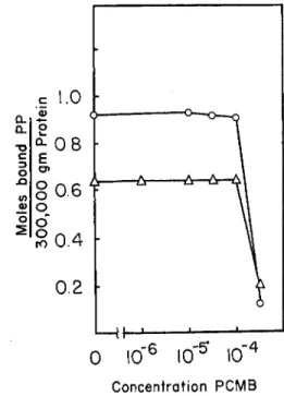 FIG. 6. Effect of PCMB on the PP binding to heavy fraction from tryptic and  chymotryptic digests