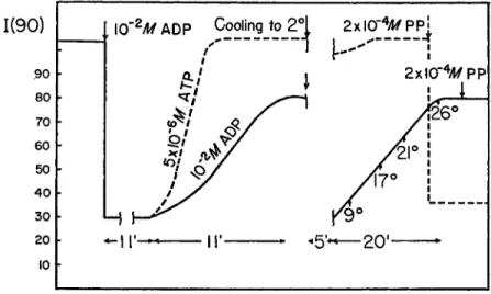 FIG. 9. Effect of ADP on the actomyosin PP system. Light scattering experiments. 
