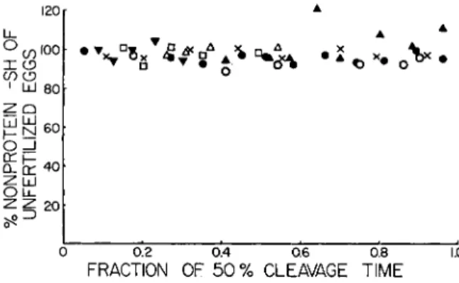 FIG. 4. Nonprotein SH during the first division of the eggs of the sea urchin  Strongylocentrotus purpuratus