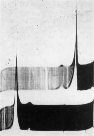 FIG. 1. Electrophoretic pattern of dissolved mitotic apparatus. Mitotic apparatus  isolated by the alcohol-digitonin method were dissolved in 0.1 M salyrgan at pH  9.0