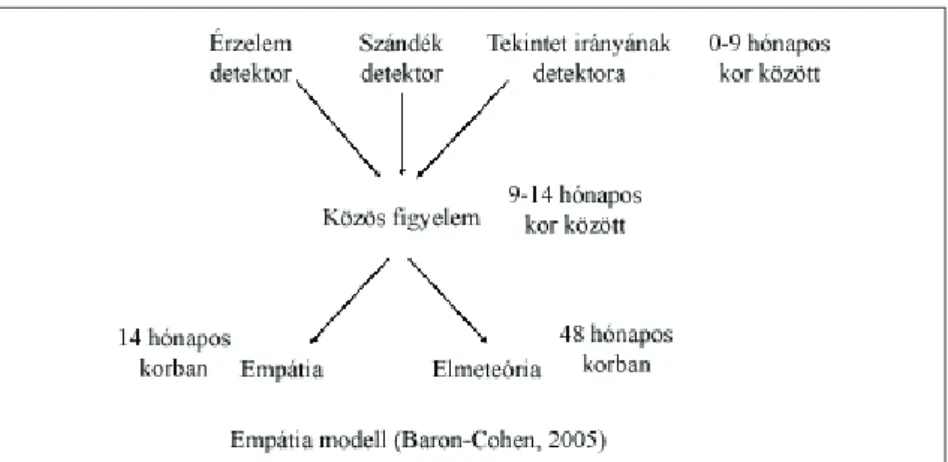 1. ábra Baron-Cohen empátia modellje (Baron-Cohen 2005)