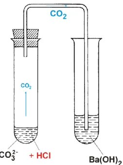 3.4.1.1. ábra: A szén-dioxid kimutatása 