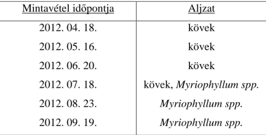 2. táblázat: A mintavételek id ő pontja és az aljzatok típusa. 