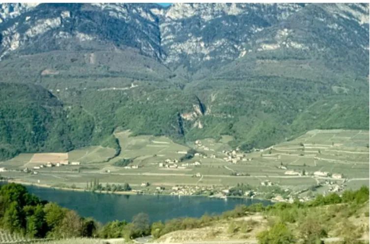 2. kép   Dél-Tirolban  a  szőlőtermesztés  és  turizmus  harmóniája  a  valóságban   (saját felvétel) 