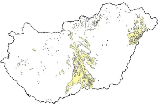 13. kép  Váztalajok Magyarországon 0500000100000015000002000000250000030000003500000Terület (ha)VáztalajKőzethatású talajBarna erdőtalajCsernozjomSzikes talajRéti talajLáp talajÖntés talajTalaj főtípusok