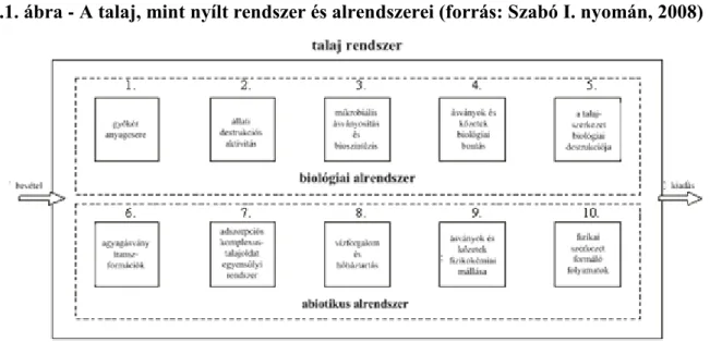 1.1. ábra - A talaj, mint nyílt rendszer és alrendszerei (forrás: Szabó I. nyomán, 2008)