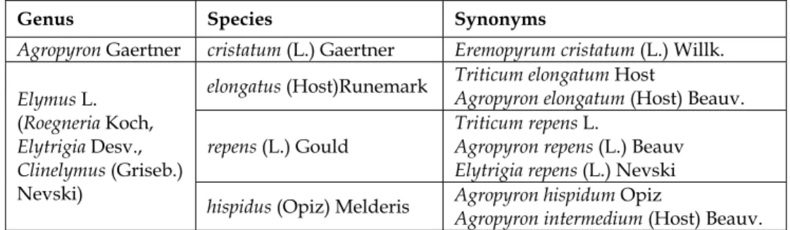 Table 1. Hungarian Agropyron and Elymus taxa used in the interspecies study 