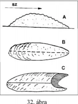 10. ábra. A bálnahát és a barkán szemléltetése. A=bálnahát metszetben, B= felülnézetben, C=barkán  felülnézetben.