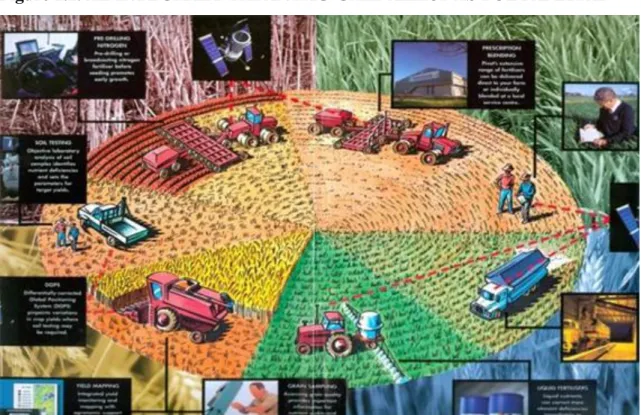 Figure 1.2. AZ INTEGRÁLT TÁPANYAG-GAZDÁLKODÁS FOLYAMATAI