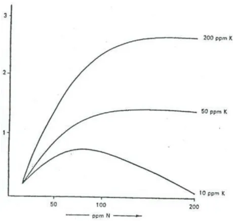 Figure 2.6. Növekvő N-adagok hatása az árpa terméshozamára 3 K-ellátottsági szinten