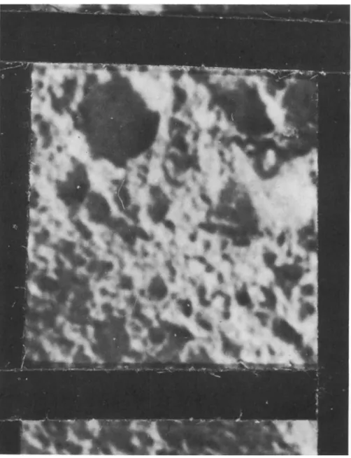 Fig. 6 Model highland craterlets, zone 10 