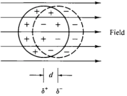 FIG.  3 - 1 . Molecular dipole moment  induced by an electric field. 