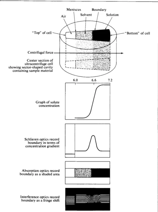 FIG. 10-5. (c) Illustration of various optical systems for recording the boundary region formed  between solution and supernatant liquid in moving boundary ultracentrifugation