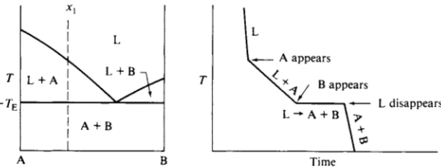 Figure 11-5 shows a series of cooling curves for various initial compositions  of the system of Fig
