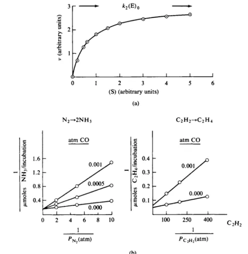 FIG. 15-12, The Michaelis-Menten mechanism, (a) Plot of Eq. (15-78). (b) Data on nitrogen  and acetylene reduction by nitrogenase, plotted according to Eq