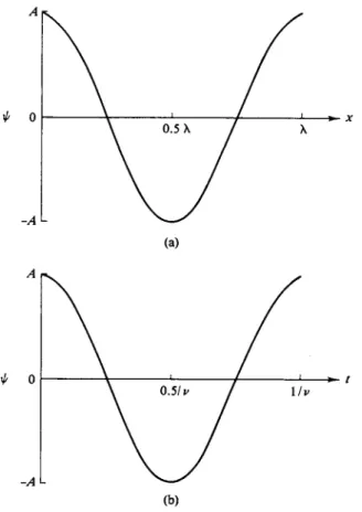 FIG. 16-2. The amplitude of a wave, (a) As a function of distance at a given time and (b) as a  function of time at a given position