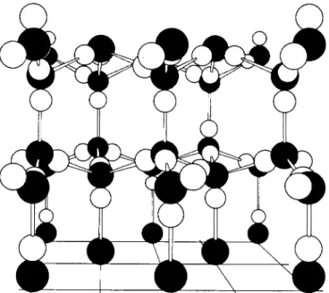 FIG.   2 0 - 2 2 .  Hexagonal (ordinary) ice. (Courtesy of Ν. H. Fletcher.) 