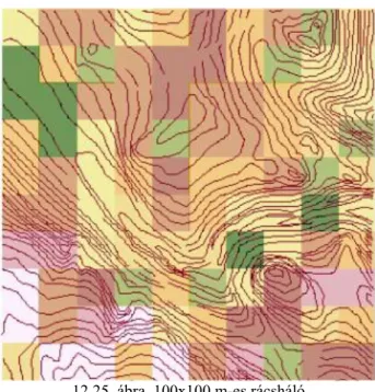 12.25. ábra. 100x100 m-es rácsháló
