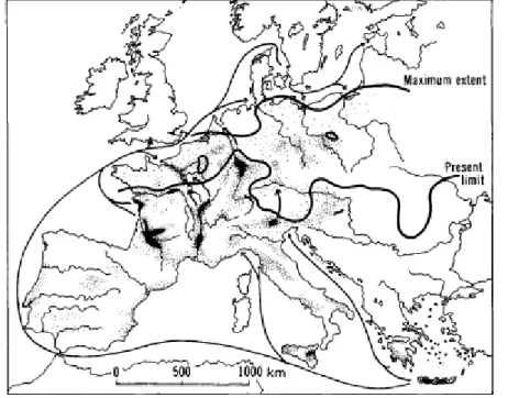 Figure 5. The Low Countries in the middle of the 14 th  century (N.J.G. Pounds: An Historical Geography of  Europe (450 B.C.-A.D