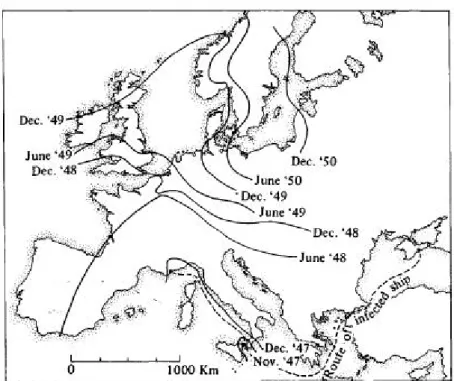 Figure 10. The spread of plague in Europe in the 14 th  century. The antecedents of the apocalyptic period of  the black death dated back to the turning of the 13 th  and the 14 th  century