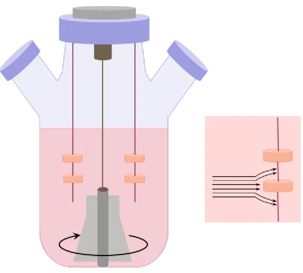 Figure III-2: Spinner flask bioreactors