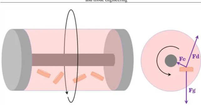 Figure III-3: Rotating wall bioreactors