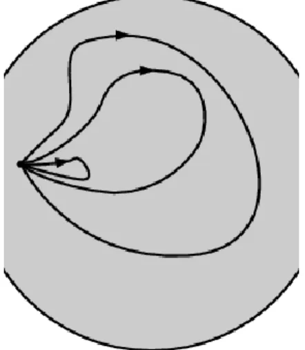 Figure  2.5.  Loops  of  the  disk  with  a  hole  cannot  be  contracted  to  one  point