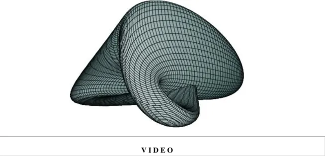 Figure  1.1. A surface (Boy’s surface) homeomorphic  to the projective plane.  Although they  are  homeomorphic,  there  is  no  homotopy  to  transform  the  projective  plane  to  the  Boy’s  surface