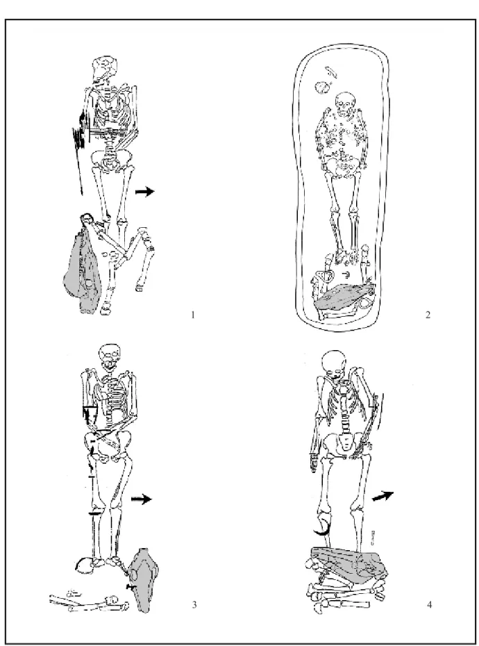 Fig. 5: Orientation of horse skulls in the burials in the Carpathian Basin of the 10 th –11 th  centuries  (1: Sárrétudvari-Hízóföld, Grave 213, after N EPPER  2002, 229
