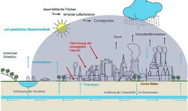 Figure 4.6. Air and water contamination formation due to city climate (source: Urbaner  Metabolismus)