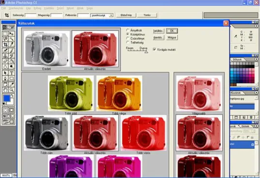 11. ábra:  Pixelgrafikus kép a Photoshop képszerkesztő programban 