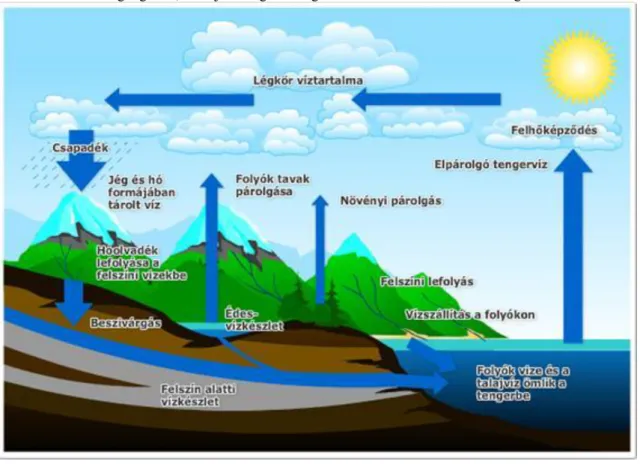 1.2.2.1. ábra Forrás: http://ga.water.usgs.gov/edu/watercyclehungarianhi.html