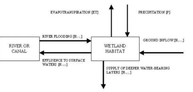 Fig. 16 presents a list of basic ways of the use and the groups of users of bog areas