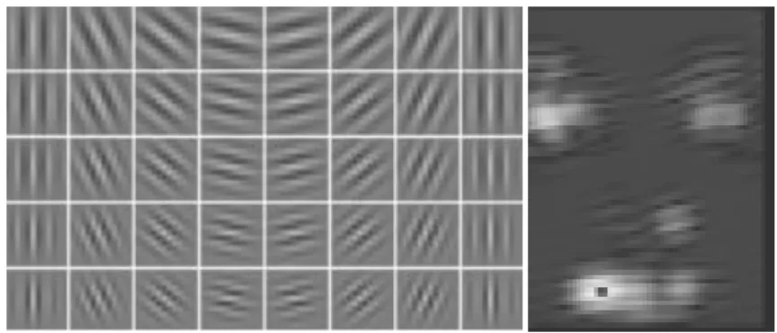 6. ábra Balra: Gabor waveletek felülnézetből, jobbra a szűrés eredménye arcon 