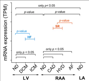 FIGURE 1 | Template figure for presentation of mRNA expression assessed by RNA-seq. Some p-values will be indicated in all graphs (p-value), whereas others are only indicated when p &lt; 0.05 (only p &lt; 0.05)