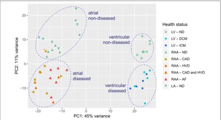 FIGURE 2 | PCA plot illustrating inter- and intra-group variability of samples assessed by RNA-seq