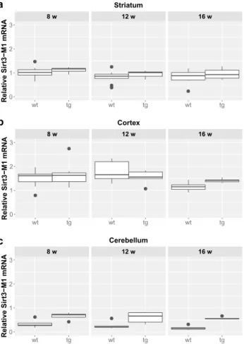 Fig. 1    Relative mRNA expression level of Sirt1-Fl in the striatum  (a), cortex (b) and cerebellum (c) of N171-82Q transgenic and B6C3  wild-type mice of three age groups