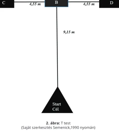 2. ábra: T test