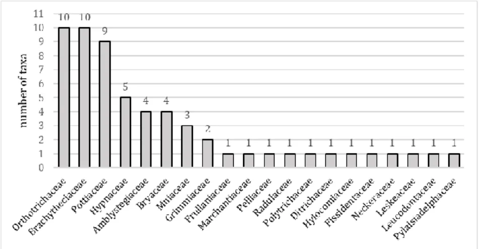 Figure 2. Distribution of bryophyte species found in the central park of the Eger  town among families (Taxonomy follows Goffinet and Shaw 2009 and Söderström  et al