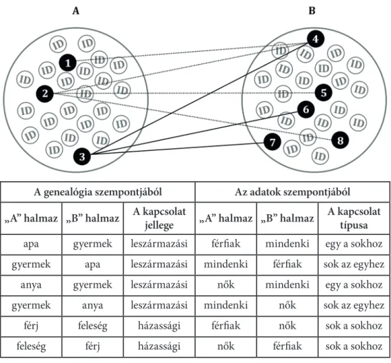 5. ábra A genealógiai kapcsolatok mint adatok tipizálása