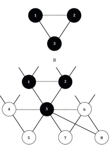 2. ábra A genealógiai kapcsolatháló alapsémája