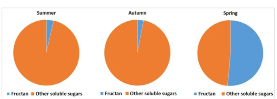 Figure  6.  The  ratio  of  fructan  (blue)  to  other  soluble  carbohydrates  (orange)  in  Cichorium  intybus  root  depending  on  seasonality