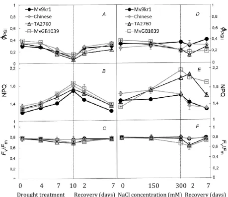 Figure  2.  Effects  of  water  deficit,  NaCl  concentration  and  recovery  on  effective  quantum yield (A, D), non-photochemical quenching (B, E) and optimal quantum  yield  of  PS  II  (C,  F)  in  wheat  (Mv9kr1,  Chinese  spring)  cultivars  and  Ae