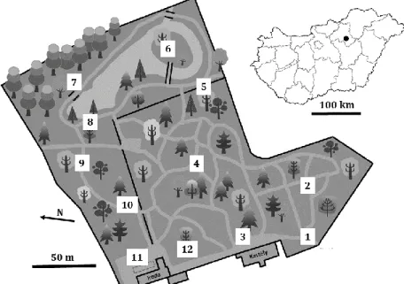 Figure 1. The collecting points in the Arboretum of Erdőtelek (map designed by  Jana Táborská)