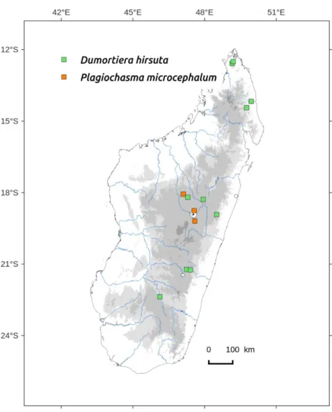 Figure  74.  Distribution  map  of  Dumortiera  hirsuta  and  Plagiochasma  microcephalum in Madagascar, based on the specimens studied from EGR, PC and  TAN herbarium and the authors’ collections