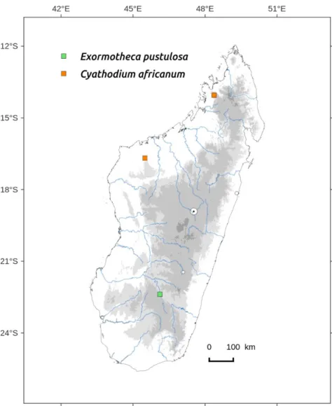 Figure 75. Distribution map of Exormotheca pustulosa and Cyathodium africanum  in Madagascar, based on the specimens studied from EGR, PC and TAN herbarium  and the authors’ collections